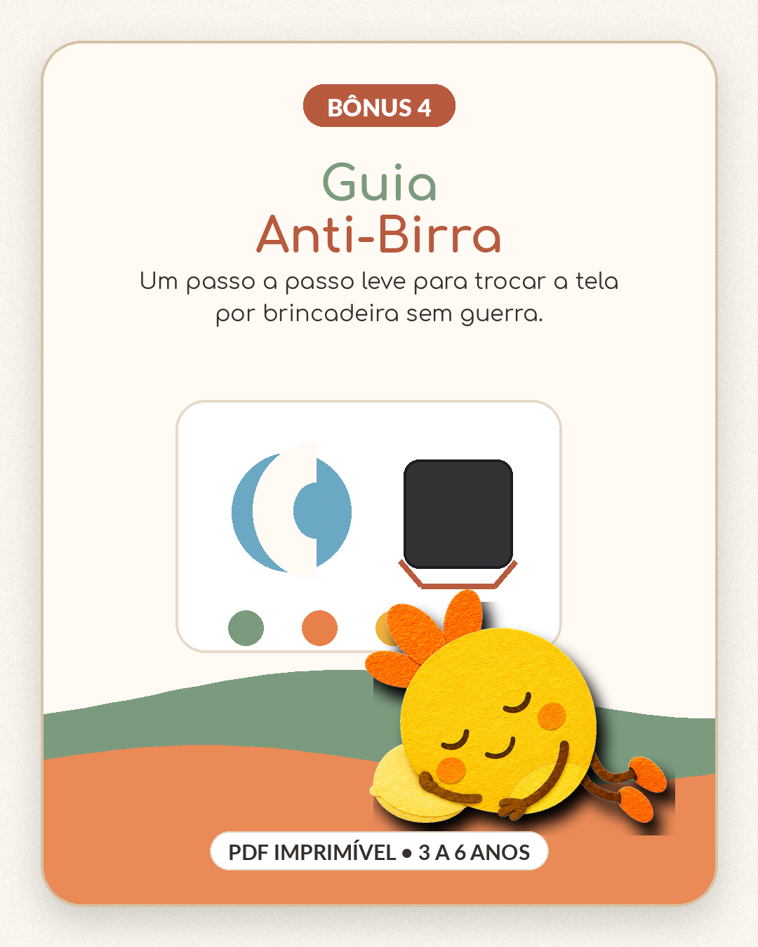 Bônus 4: Guia Anti-Birra